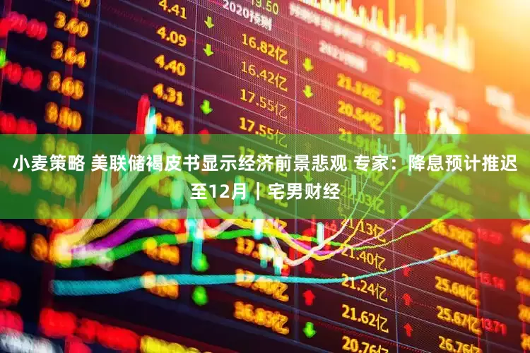 小麦策略 美联储褐皮书显示经济前景悲观 专家：降息预计推迟至12月｜宅男财经