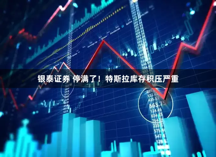 银泰证券 停满了！特斯拉库存积压严重