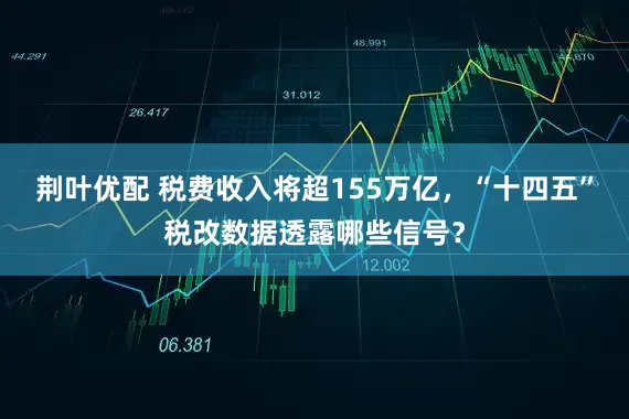 荆叶优配 税费收入将超155万亿，“十四五”税改数据透露哪些信号？