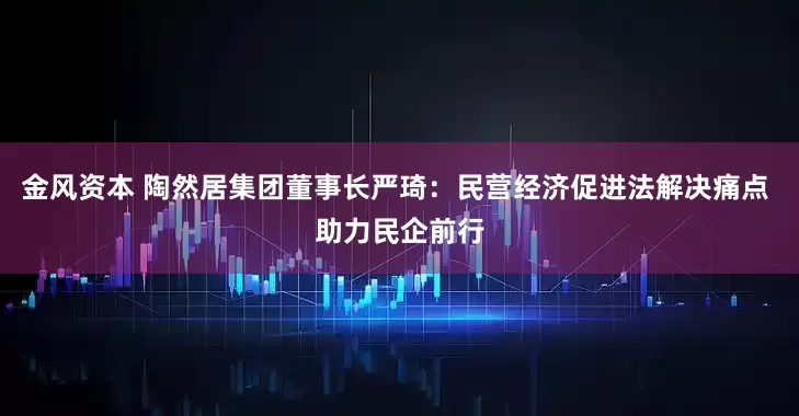 金风资本 陶然居集团董事长严琦：民营经济促进法解决痛点 助力民企前行