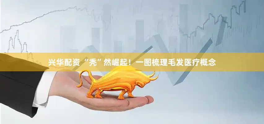 兴华配资 “秃”然崛起！一图梳理毛发医疗概念